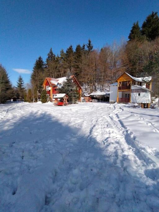 Cabanita Villa Întorsura Buzăului Kültér fotó