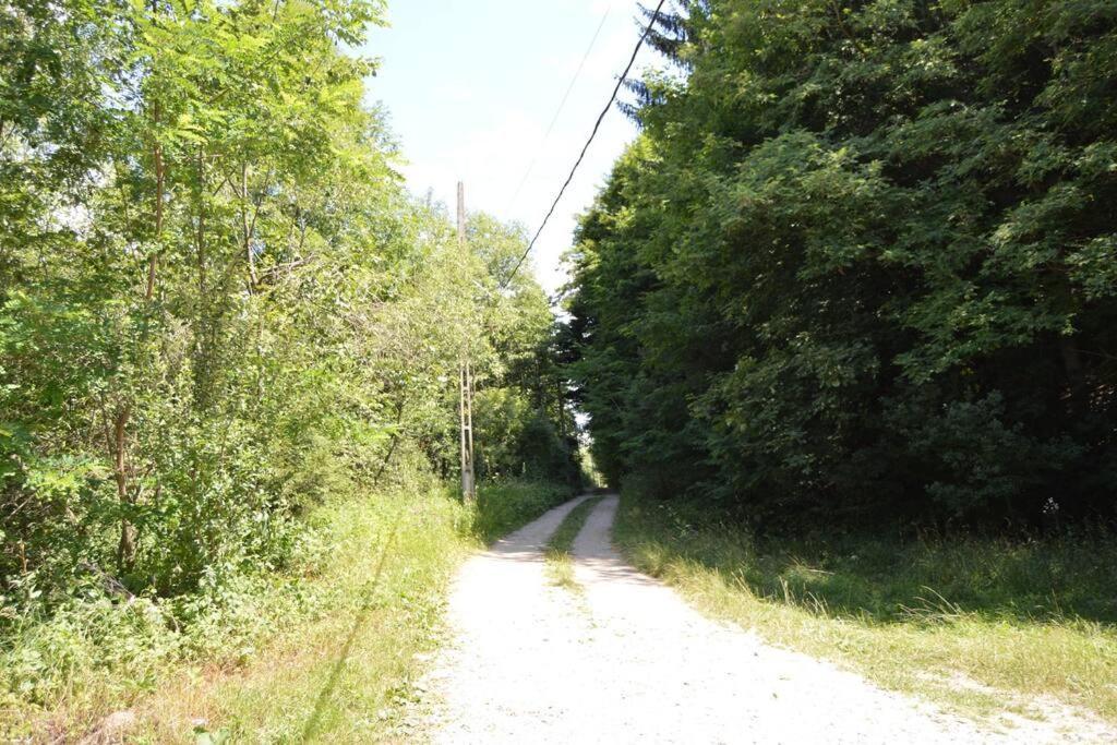 Cabanita Villa Întorsura Buzăului Kültér fotó