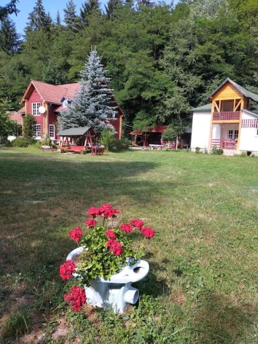 Cabanita Villa Întorsura Buzăului Kültér fotó