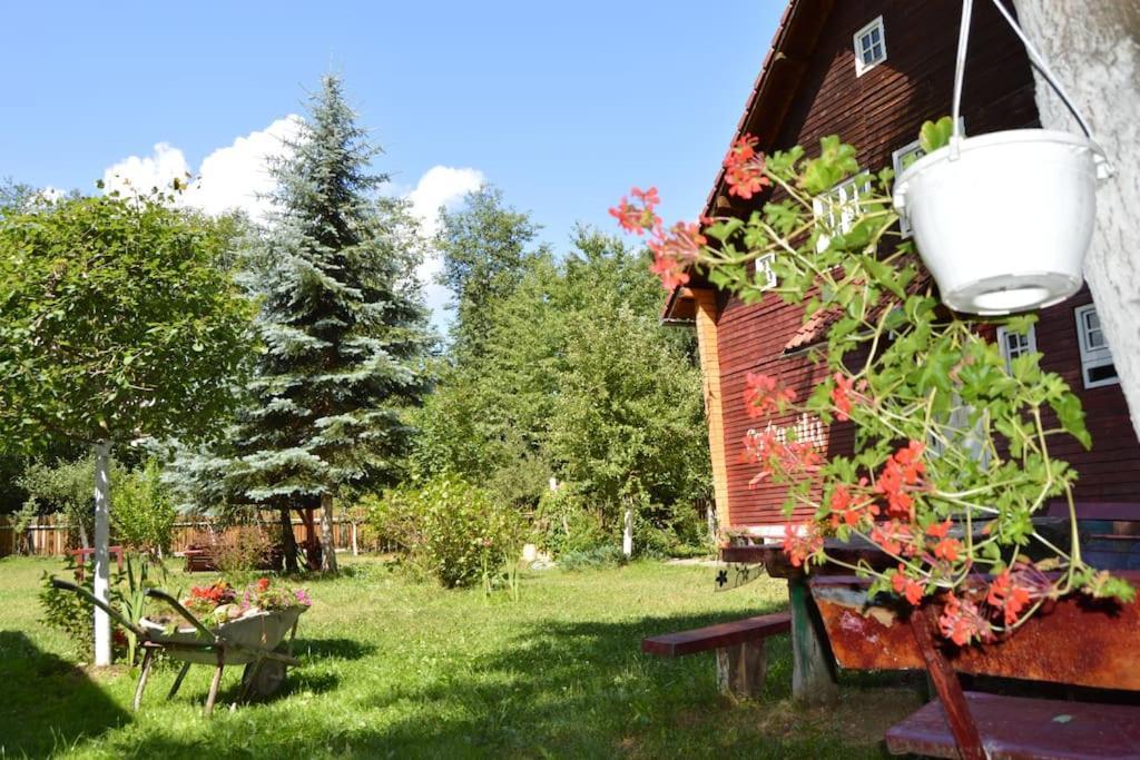 Cabanita Villa Întorsura Buzăului Kültér fotó