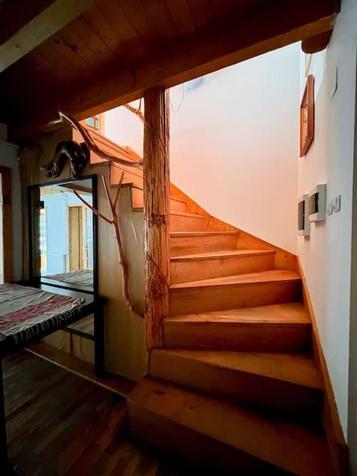 Cabanita Villa Întorsura Buzăului Kültér fotó